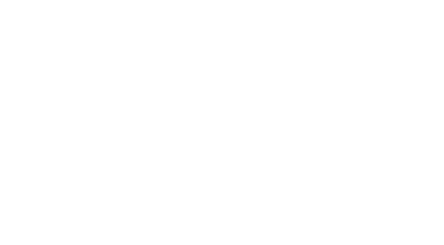 Bramcast — Broadcast and IT solutions